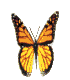 frashah.gif (7338 bytes)
