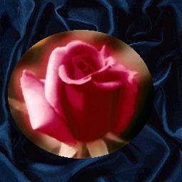 satinfinish_rose.jpg (22748 bytes)